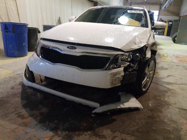 Photo 8 VIN: KNAGN4A73B5084126 - KIA OPTIMA EX 