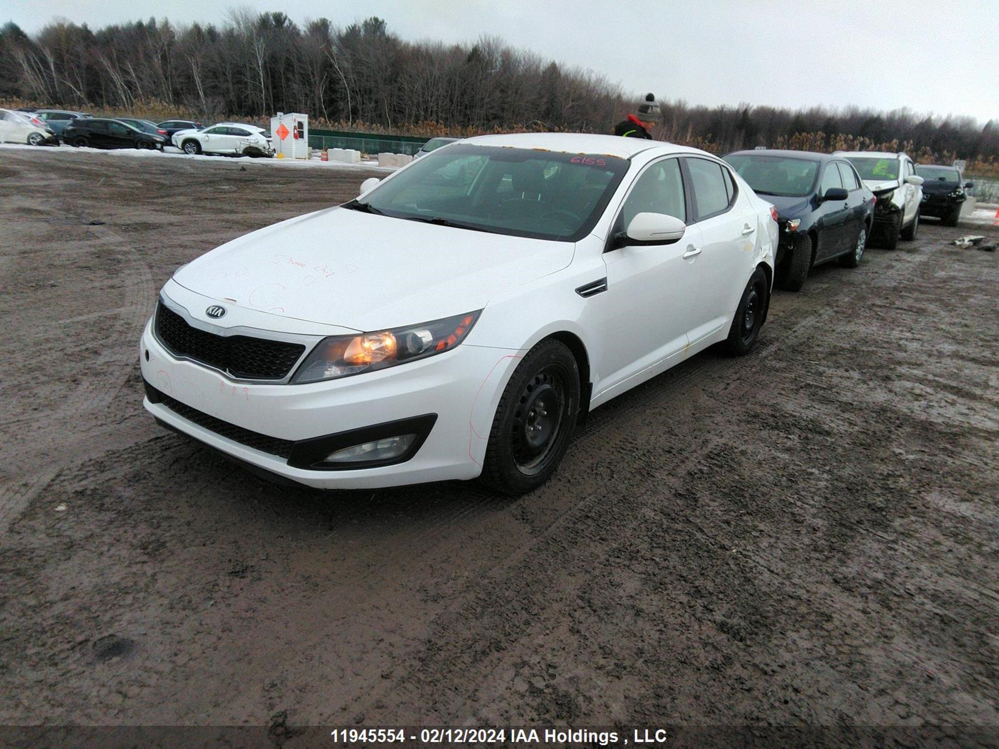 Photo 1 VIN: KNAGN4A75D5393731 - KIA OPTIMA 