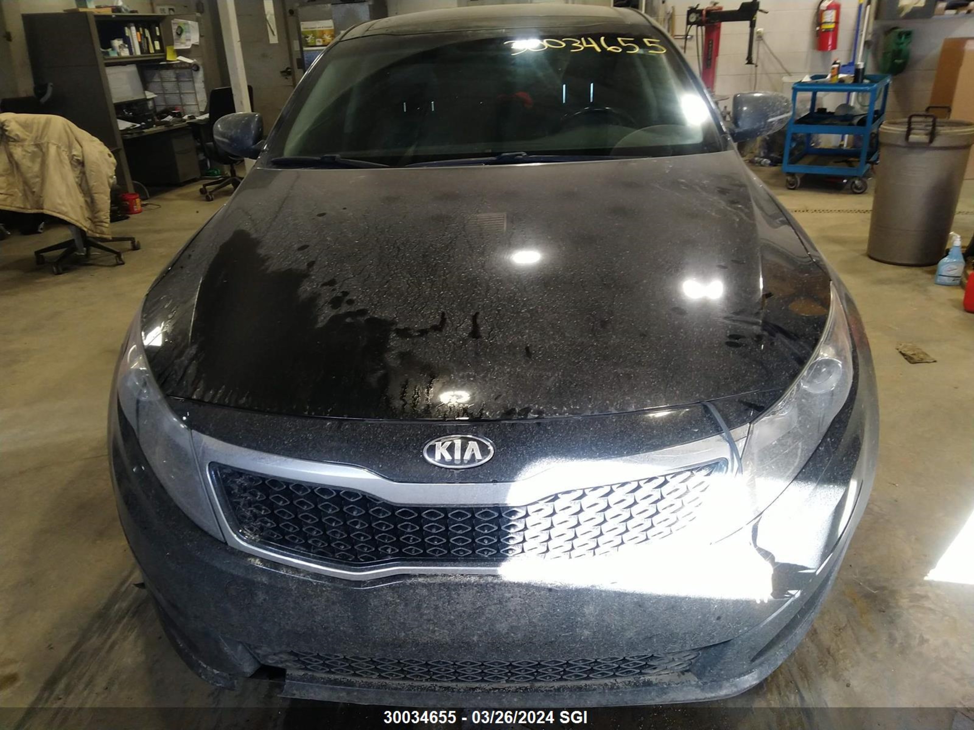 Photo 12 VIN: KNAGN4A76D5442712 - KIA OPTIMA 