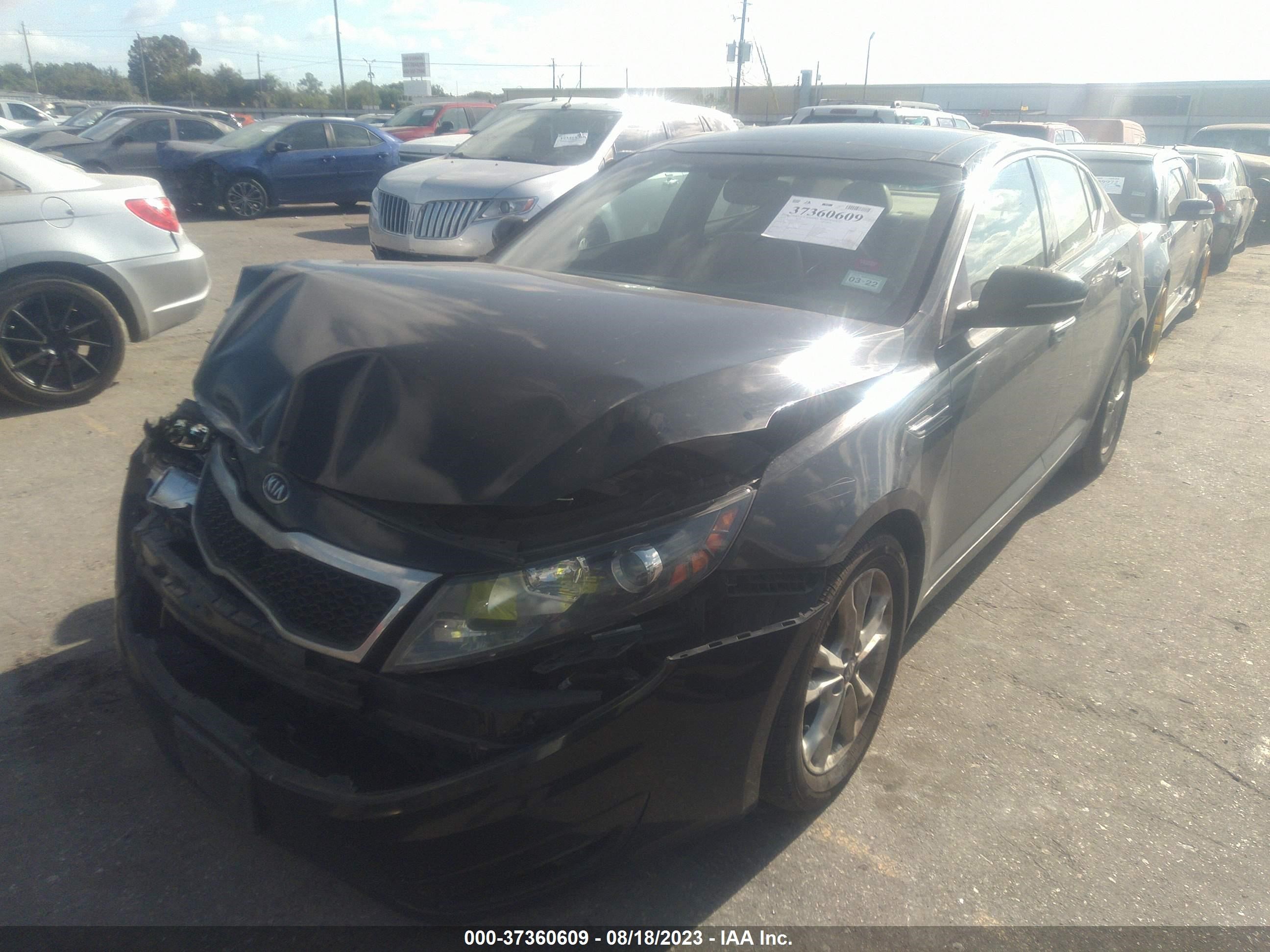 Photo 1 VIN: KNAGN4A7XB5043525 - KIA OPTIMA 