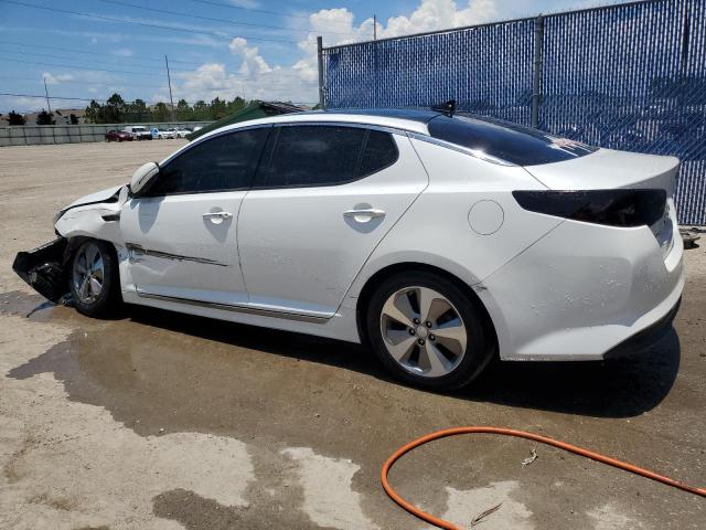 Photo 1 VIN: KNAGN4AD0E5065009 - KIA OPTIMA 