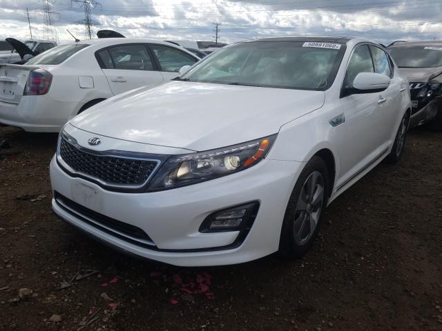 Photo 1 VIN: KNAGN4AD4F5084986 - KIA OPTIMA 