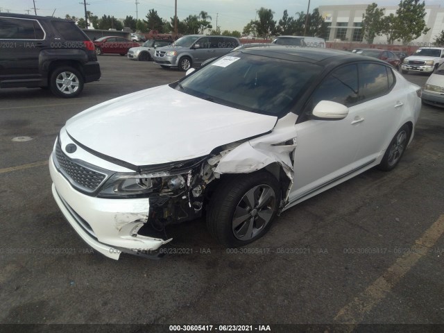 Photo 1 VIN: KNAGN4AD5E5066088 - KIA OPTIMA 