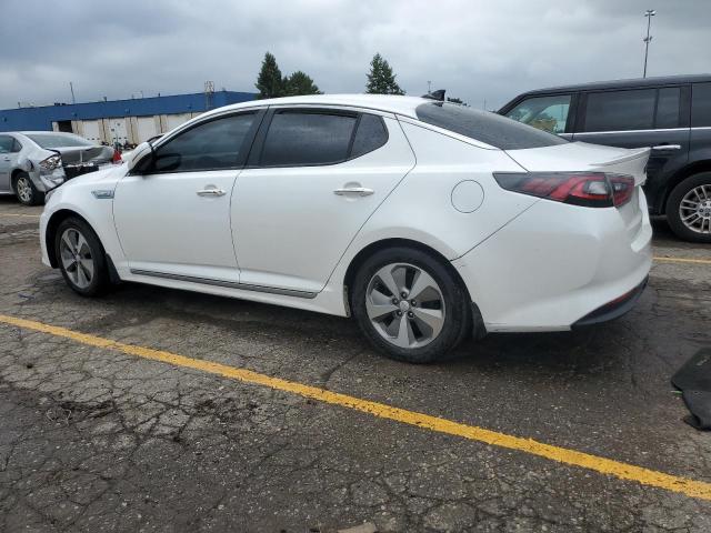 Photo 1 VIN: KNAGN4AD5E5072991 - KIA OPTIMA 