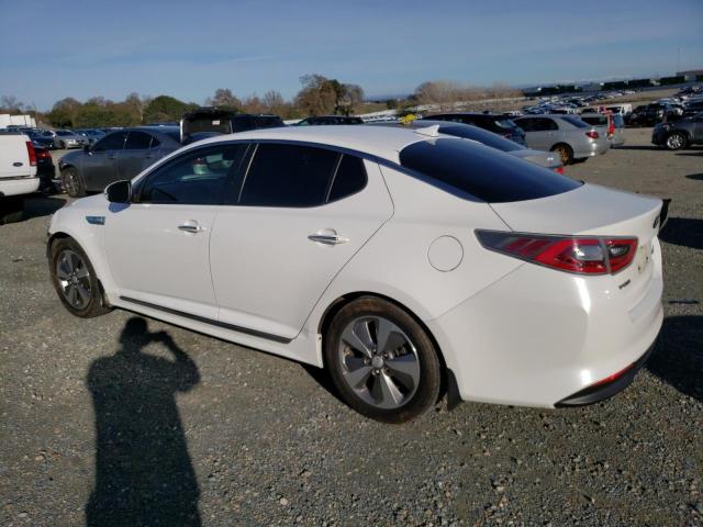 Photo 1 VIN: KNAGN4AD5F5081272 - KIA OPTIMA 