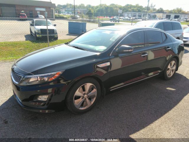 Photo 1 VIN: KNAGN4AD5G5094430 - KIA OPTIMA 