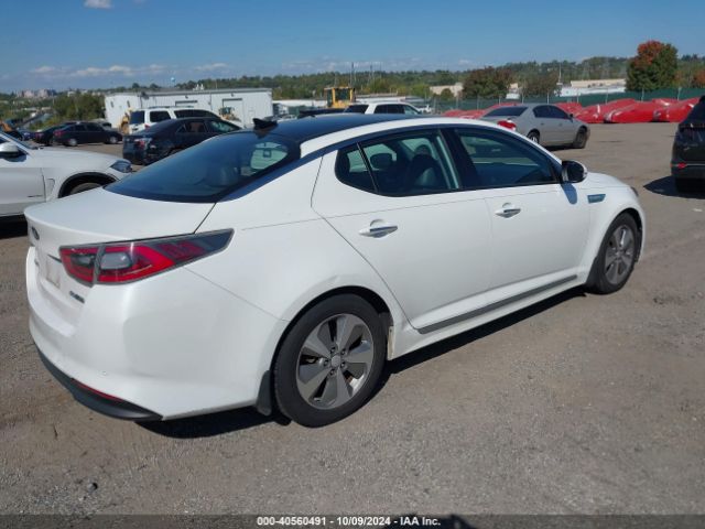 Photo 3 VIN: KNAGN4AD6G5092718 - KIA OPTIMA 