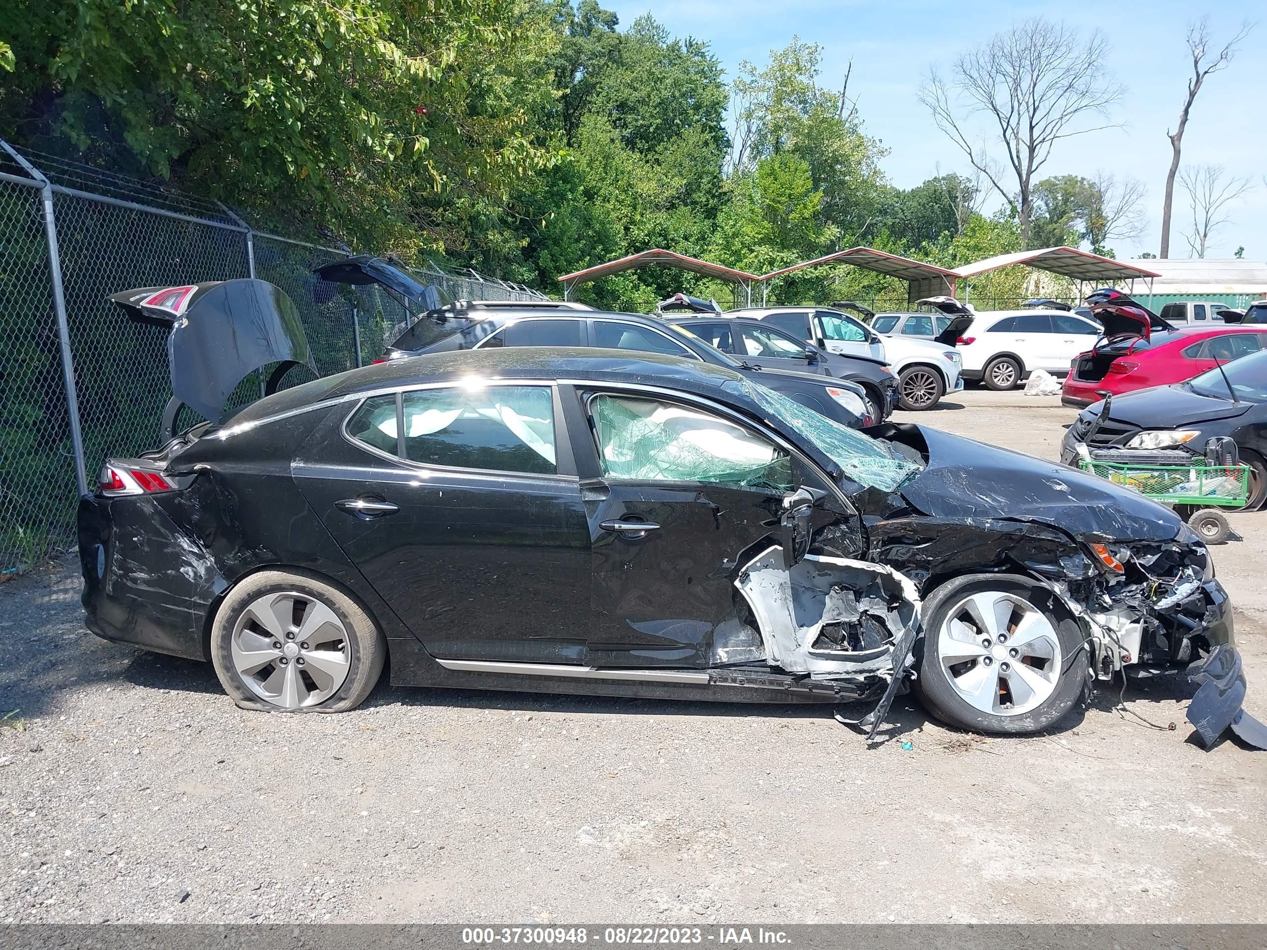 Photo 11 VIN: KNAGN4AD8G5092011 - KIA OPTIMA 