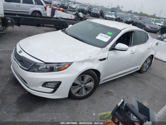 Photo 1 VIN: KNAGN4AD8G5099315 - KIA OPTIMA 