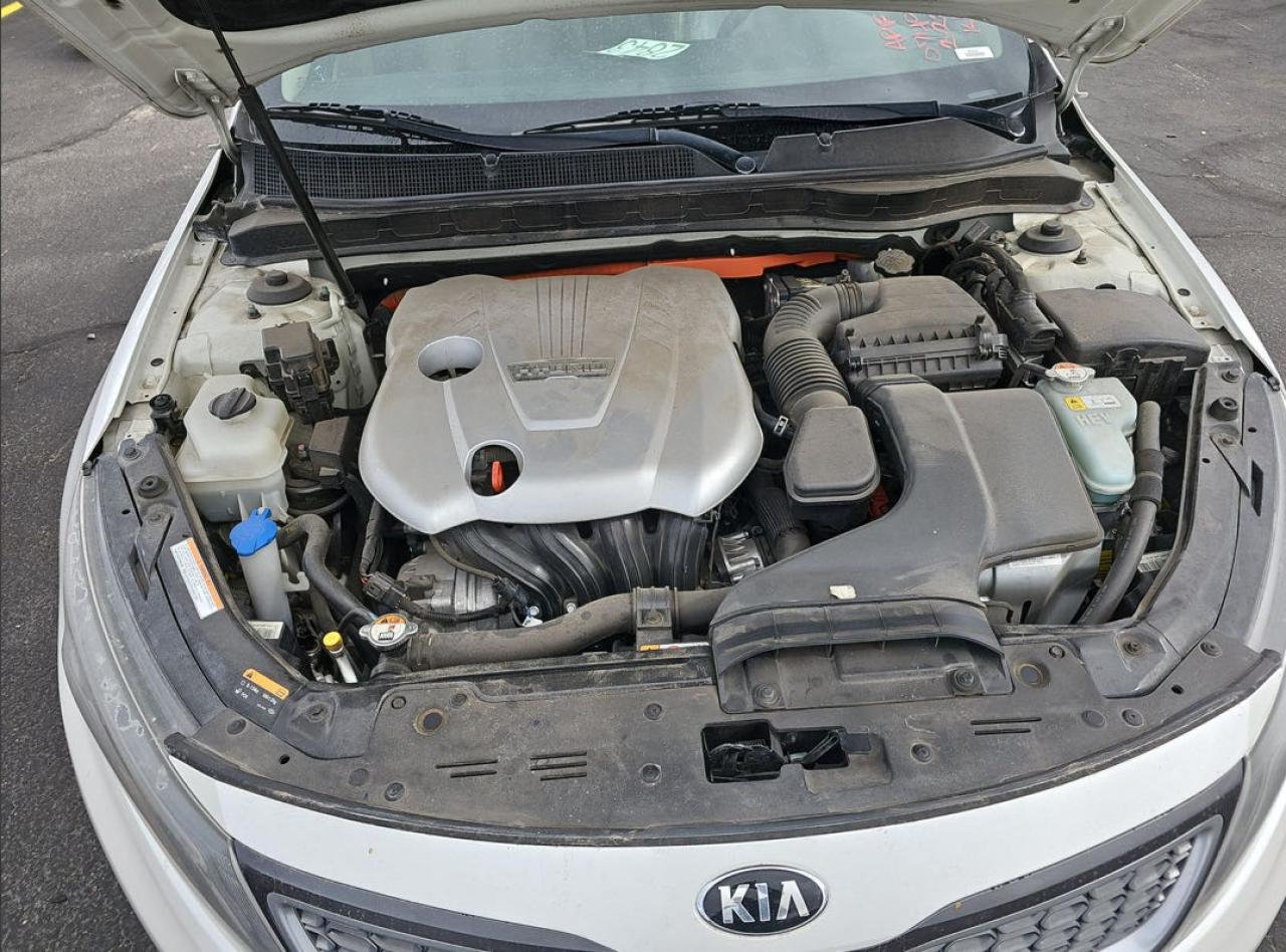 Photo 6 VIN: KNAGN4AD9E5074923 - KIA OPTIMA 