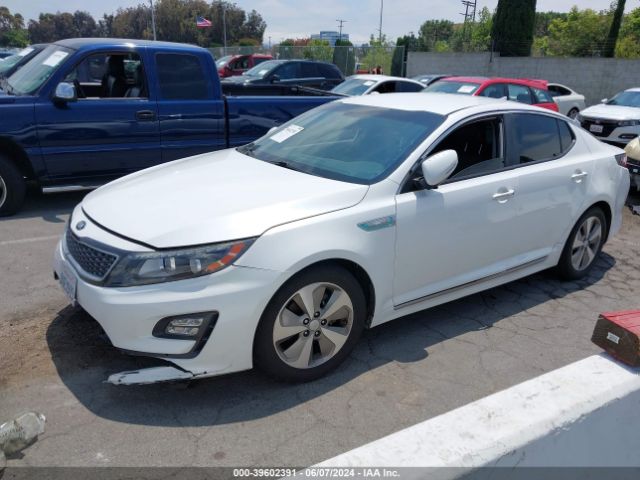 Photo 1 VIN: KNAGN4AD9G5098478 - KIA OPTIMA 