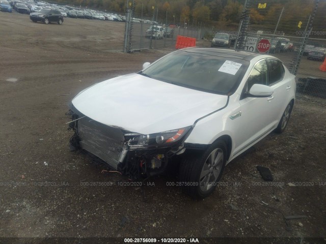 Photo 1 VIN: KNAGN4ADXG5098537 - KIA OPTIMA 