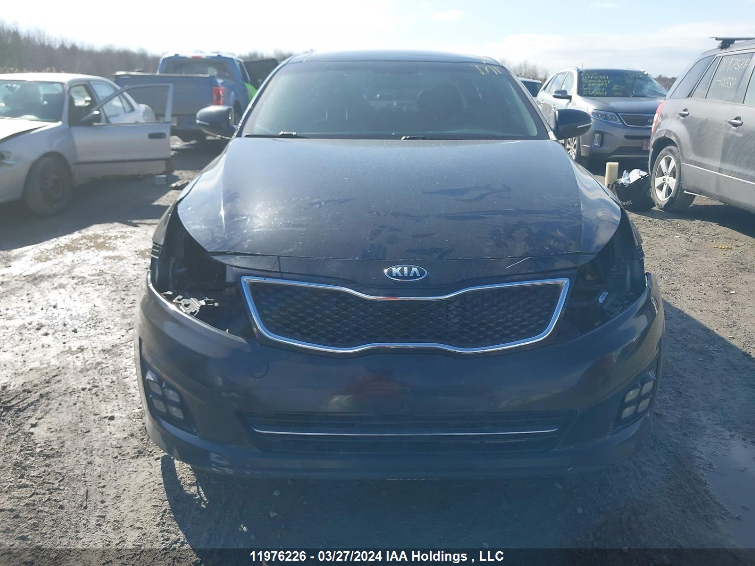 Photo 12 VIN: KNAGR4A66F5563318 - KIA OPTIMA 