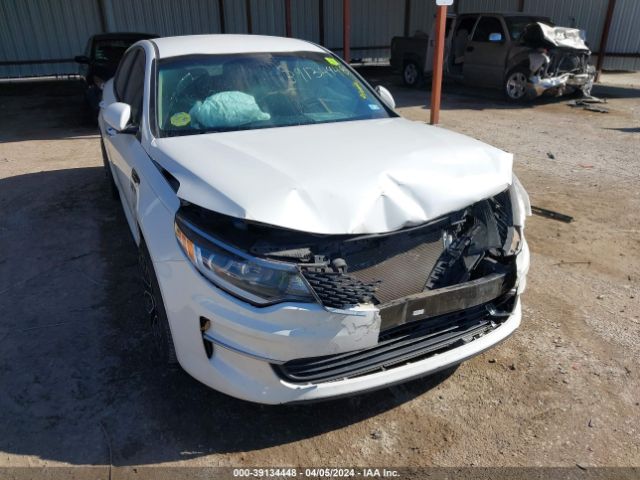 Photo 5 VIN: KNAGT4L30G5099044 - KIA OPTIMA 