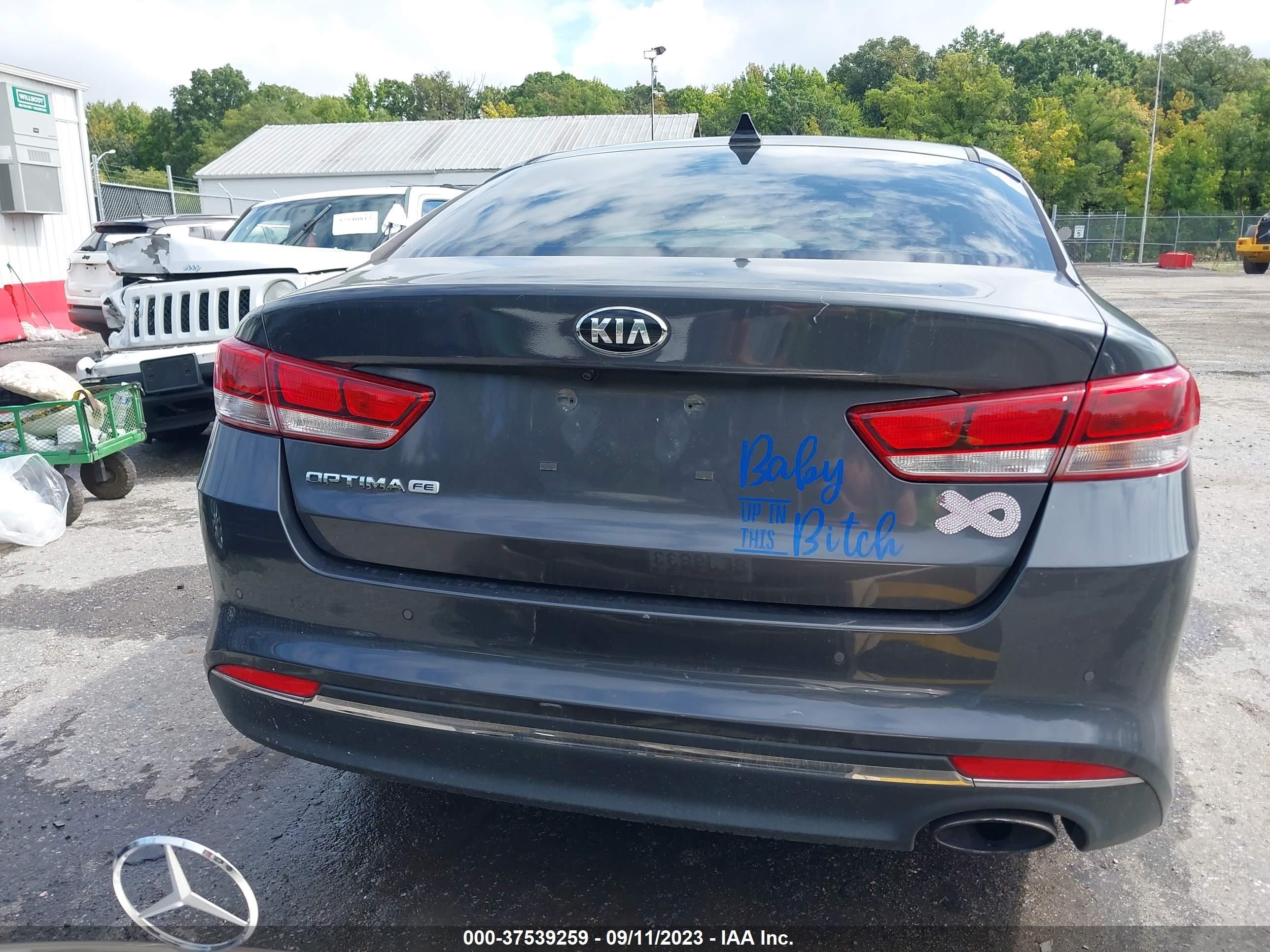 Photo 15 VIN: KNAGT4L30J5212093 - KIA OPTIMA LX 