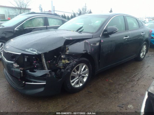 Photo 1 VIN: KNAGT4L31G5070071 - KIA OPTIMA 