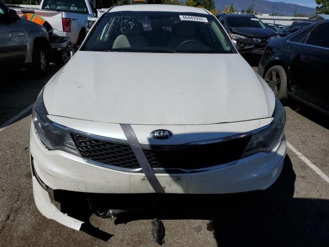 Photo 4 VIN: KNAGT4L31G5070183 - KIA OPTIMA LX 