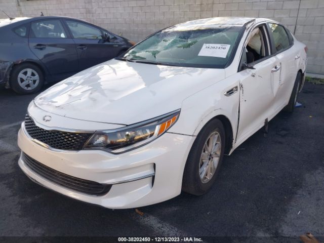 Photo 1 VIN: KNAGT4L31G5093740 - KIA OPTIMA 