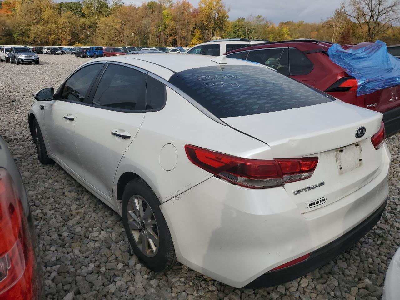 Photo 1 VIN: KNAGT4L31G5103618 - KIA OPTIMA 