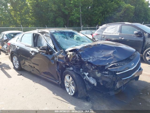 Photo 0 VIN: KNAGT4L31H5146213 - KIA OPTIMA 