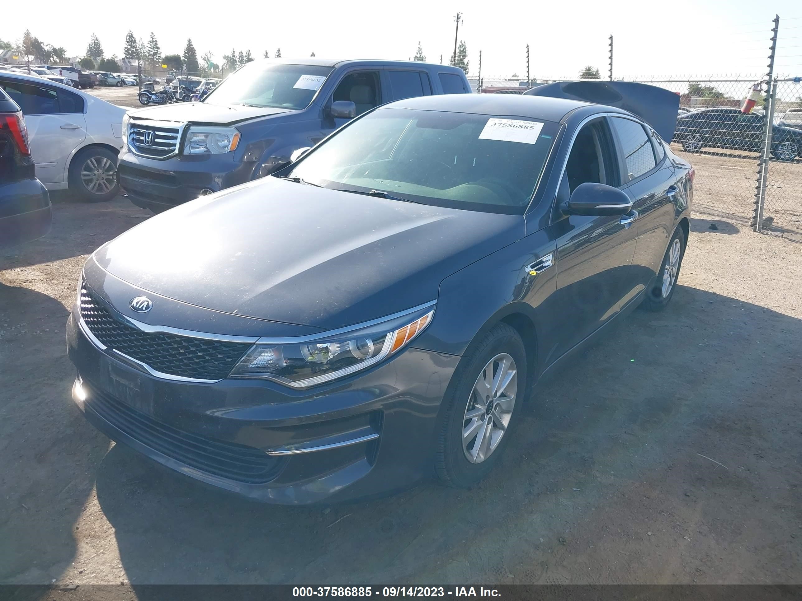 Photo 1 VIN: KNAGT4L32J5213245 - KIA OPTIMA 