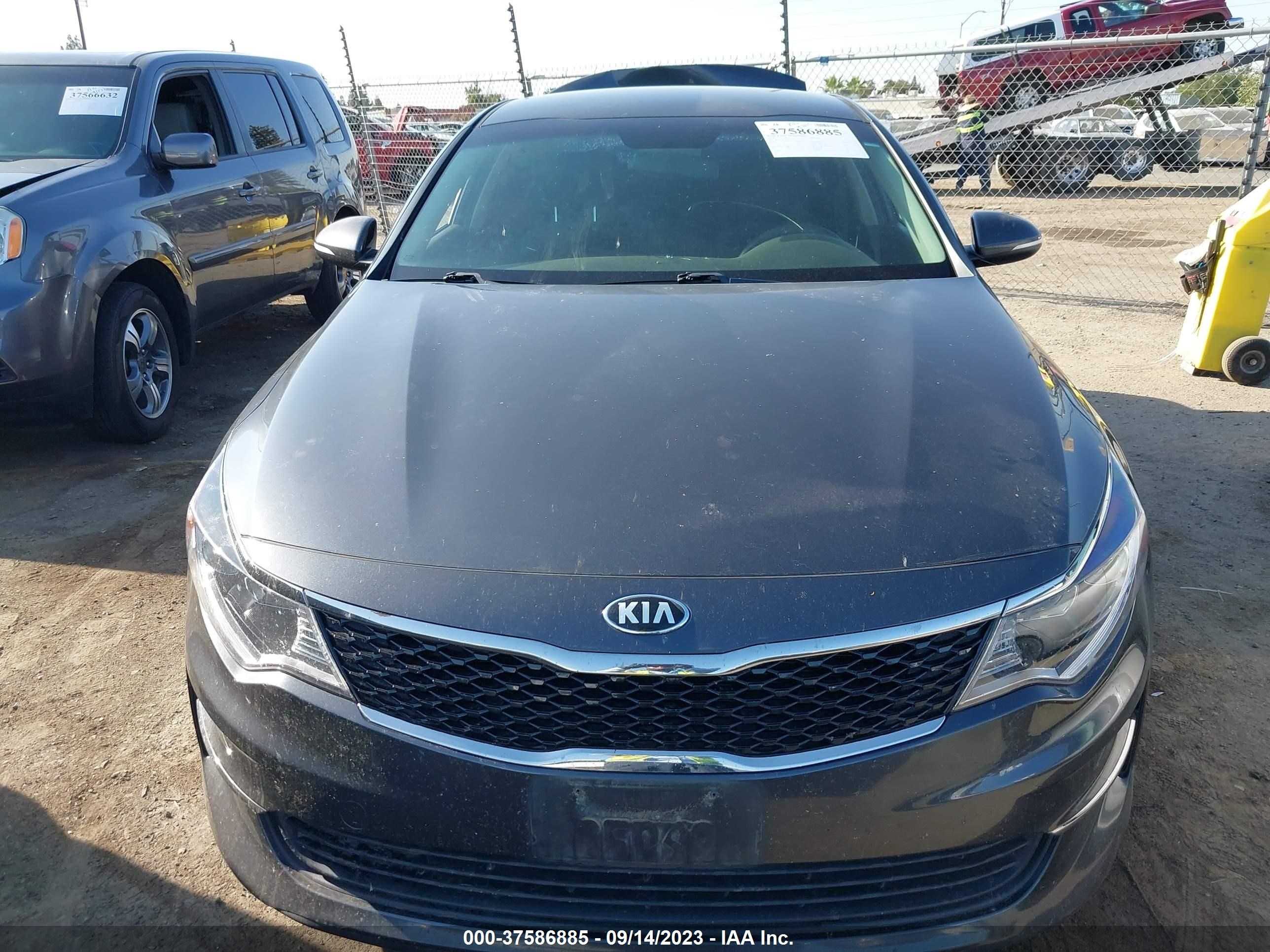 Photo 11 VIN: KNAGT4L32J5213245 - KIA OPTIMA 