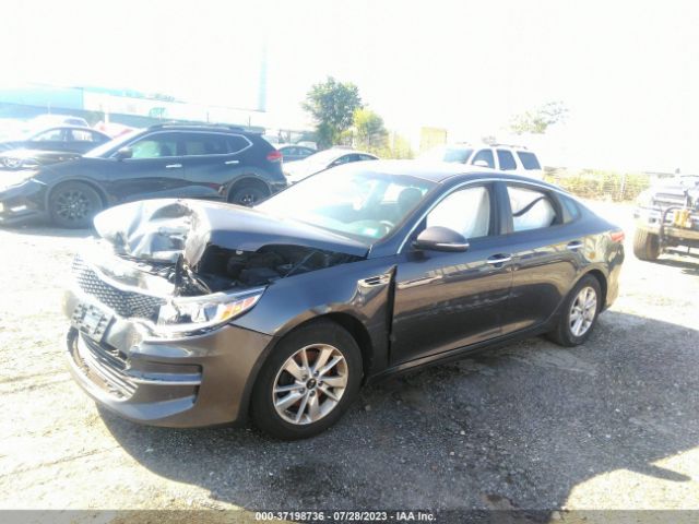 Photo 1 VIN: KNAGT4L32J5213732 - KIA OPTIMA 