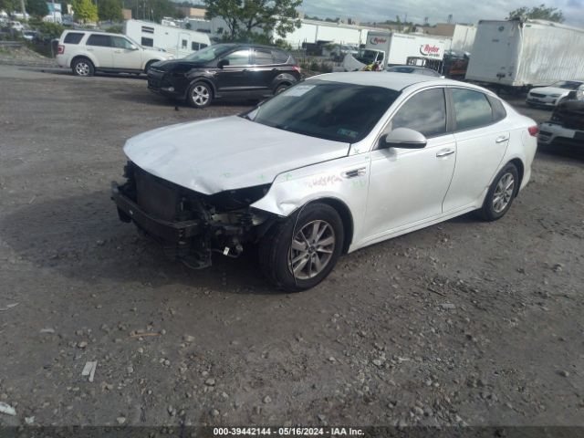 Photo 1 VIN: KNAGT4L33G5101238 - KIA OPTIMA 