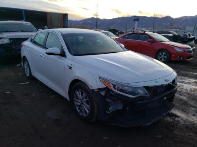 Photo 3 VIN: KNAGT4L33G5103555 - KIA OPTIMA 