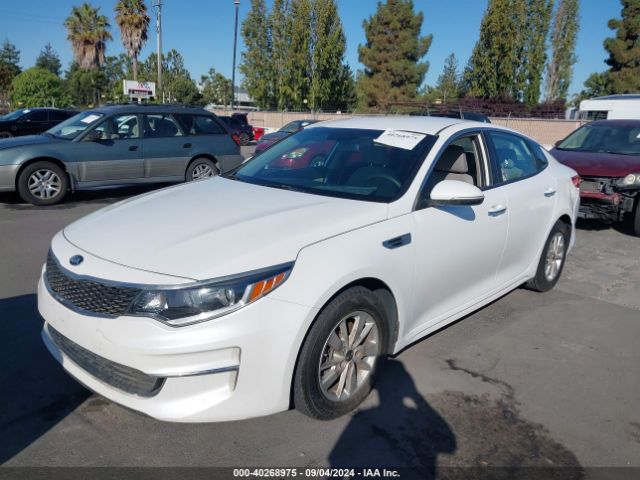 Photo 5 VIN: KNAGT4L34G5105864 - KIA OPTIMA 