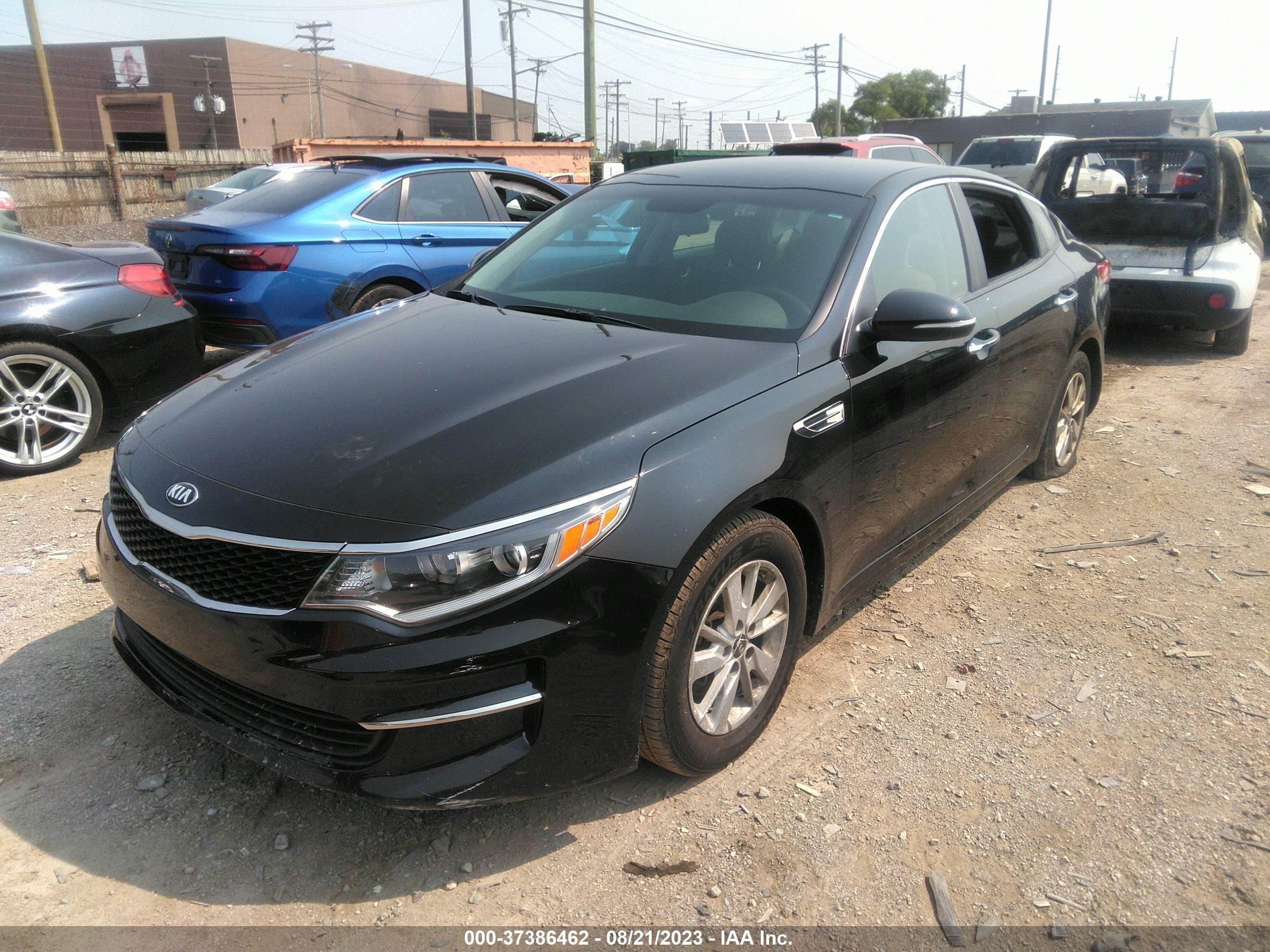 Photo 1 VIN: KNAGT4L35H5175245 - KIA OPTIMA 