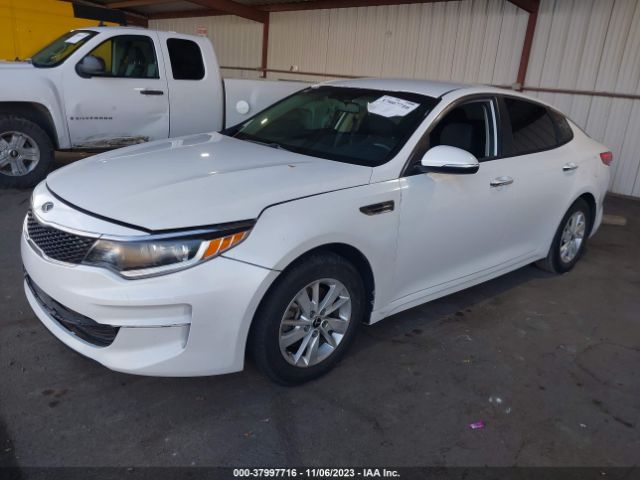 Photo 1 VIN: KNAGT4L36G5103162 - KIA OPTIMA 