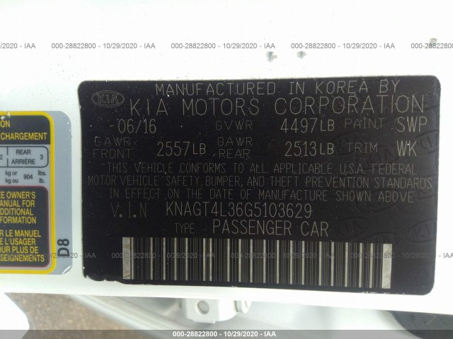 Photo 8 VIN: KNAGT4L36G5103629 - KIA OPTIMA 