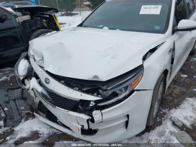 Photo 5 VIN: KNAGT4L38G5070424 - KIA OPTIMA 