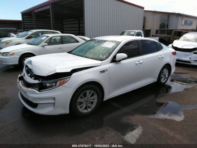 Photo 1 VIN: KNAGT4L3XG5095907 - KIA OPTIMA 