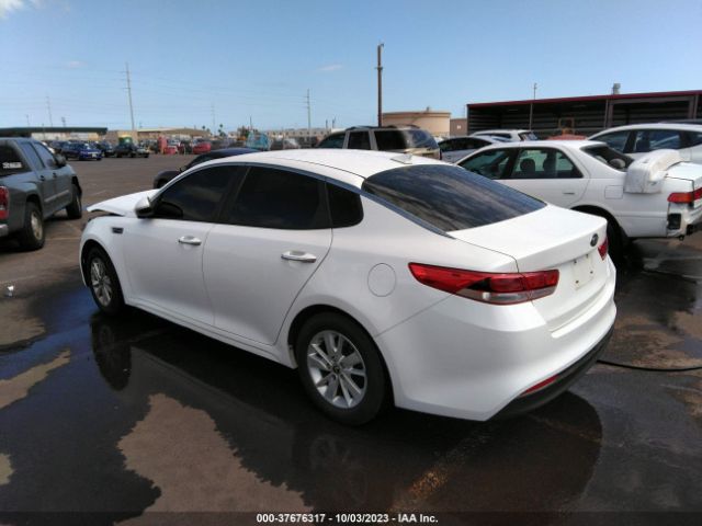 Photo 2 VIN: KNAGT4L3XG5095907 - KIA OPTIMA 