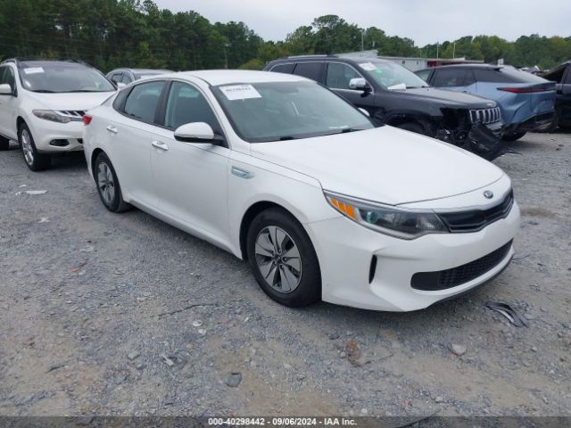 Photo 0 VIN: KNAGT4LE0H5010284 - KIA OPTIMA 