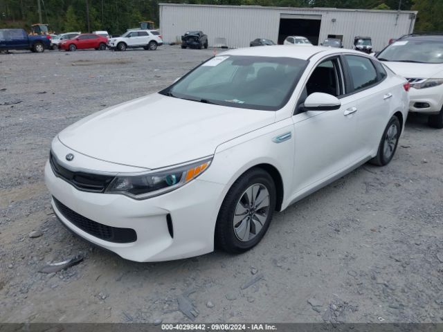 Photo 1 VIN: KNAGT4LE0H5010284 - KIA OPTIMA 