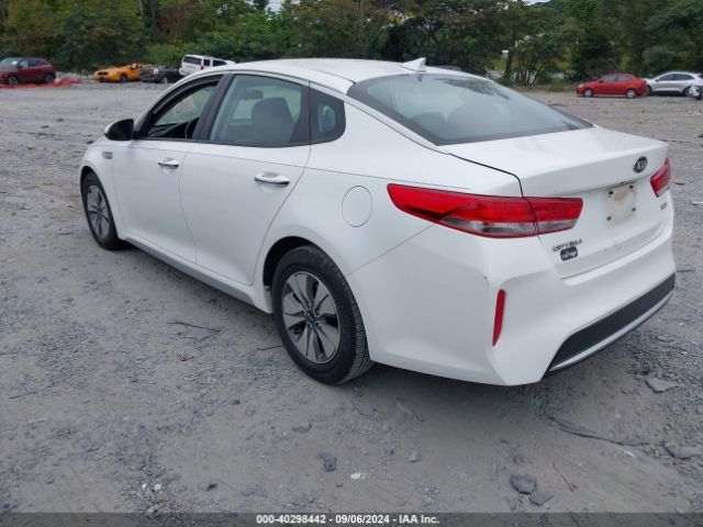 Photo 2 VIN: KNAGT4LE0H5010284 - KIA OPTIMA 