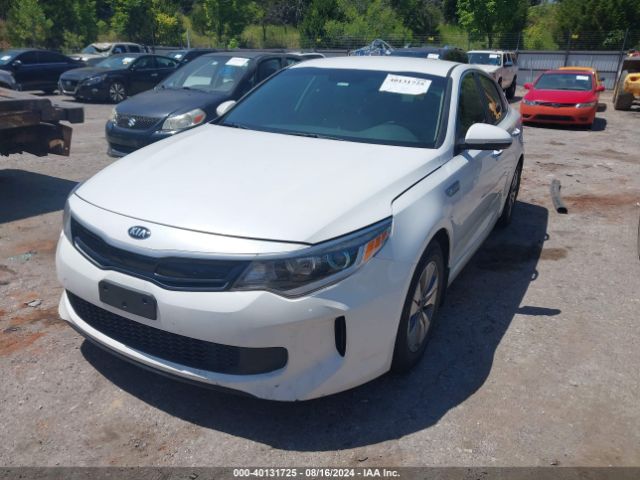 Photo 1 VIN: KNAGT4LE0H5010690 - KIA OPTIMA 