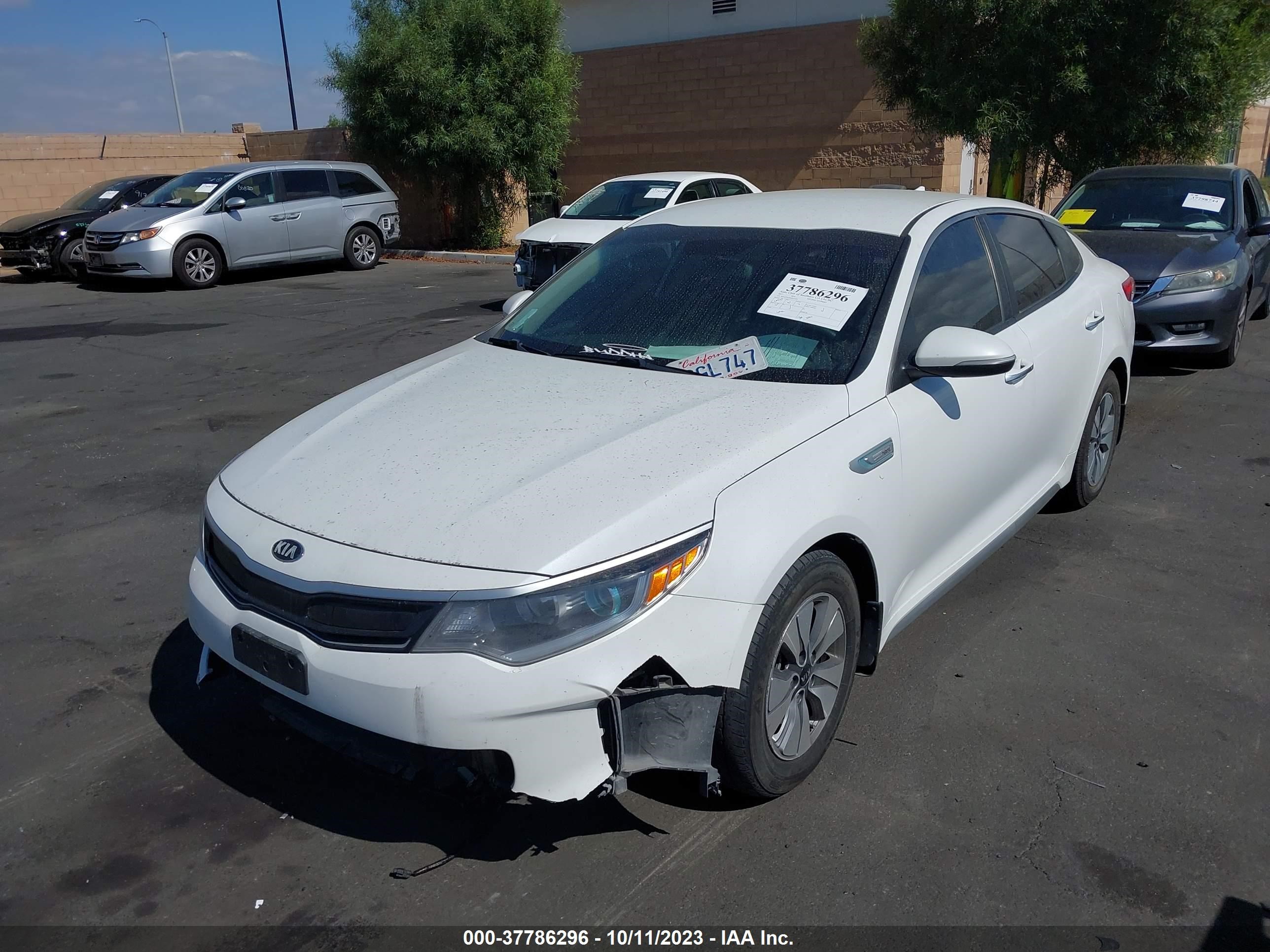 Photo 1 VIN: KNAGT4LE0H5010754 - KIA OPTIMA 