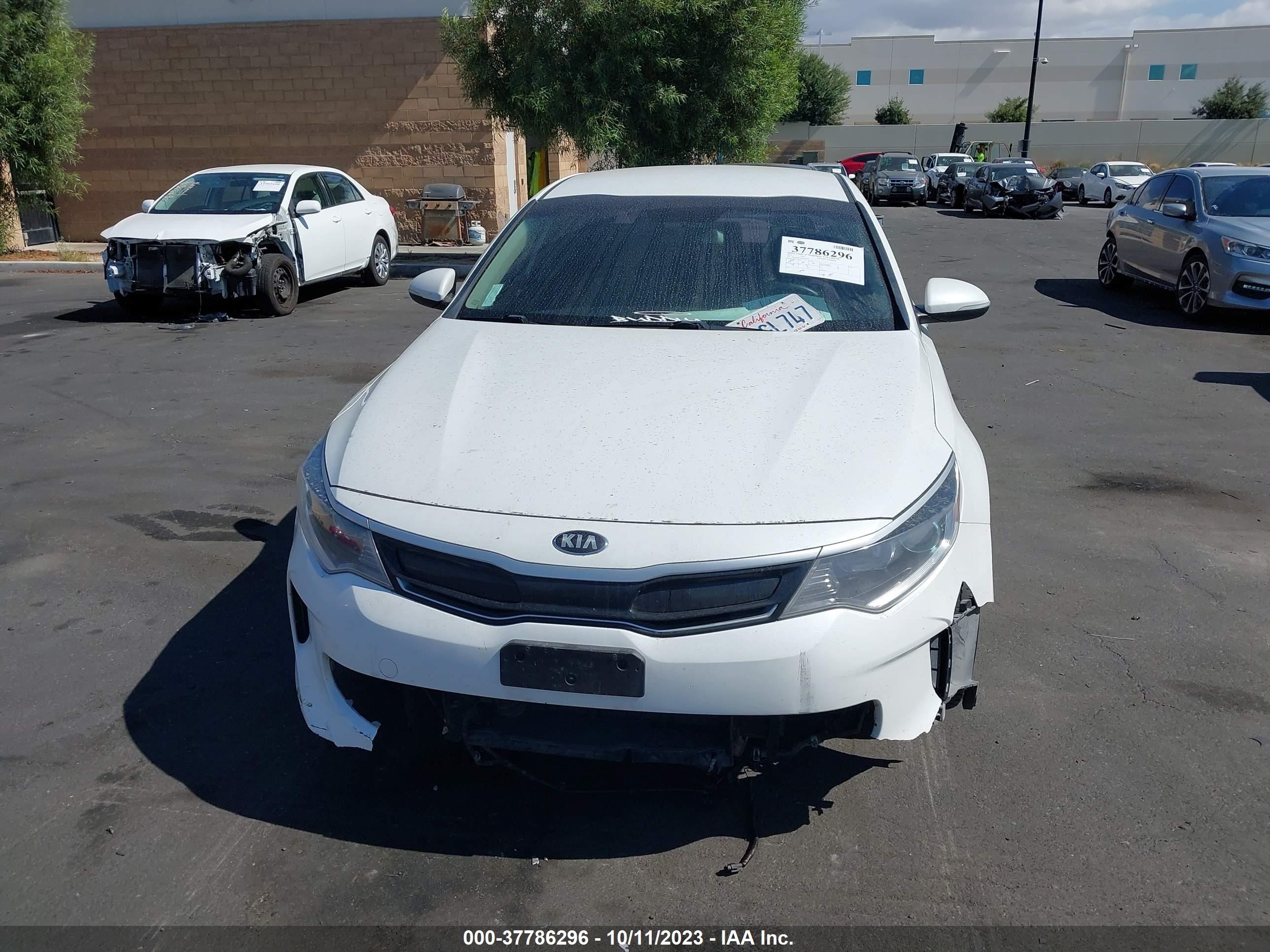 Photo 11 VIN: KNAGT4LE0H5010754 - KIA OPTIMA 