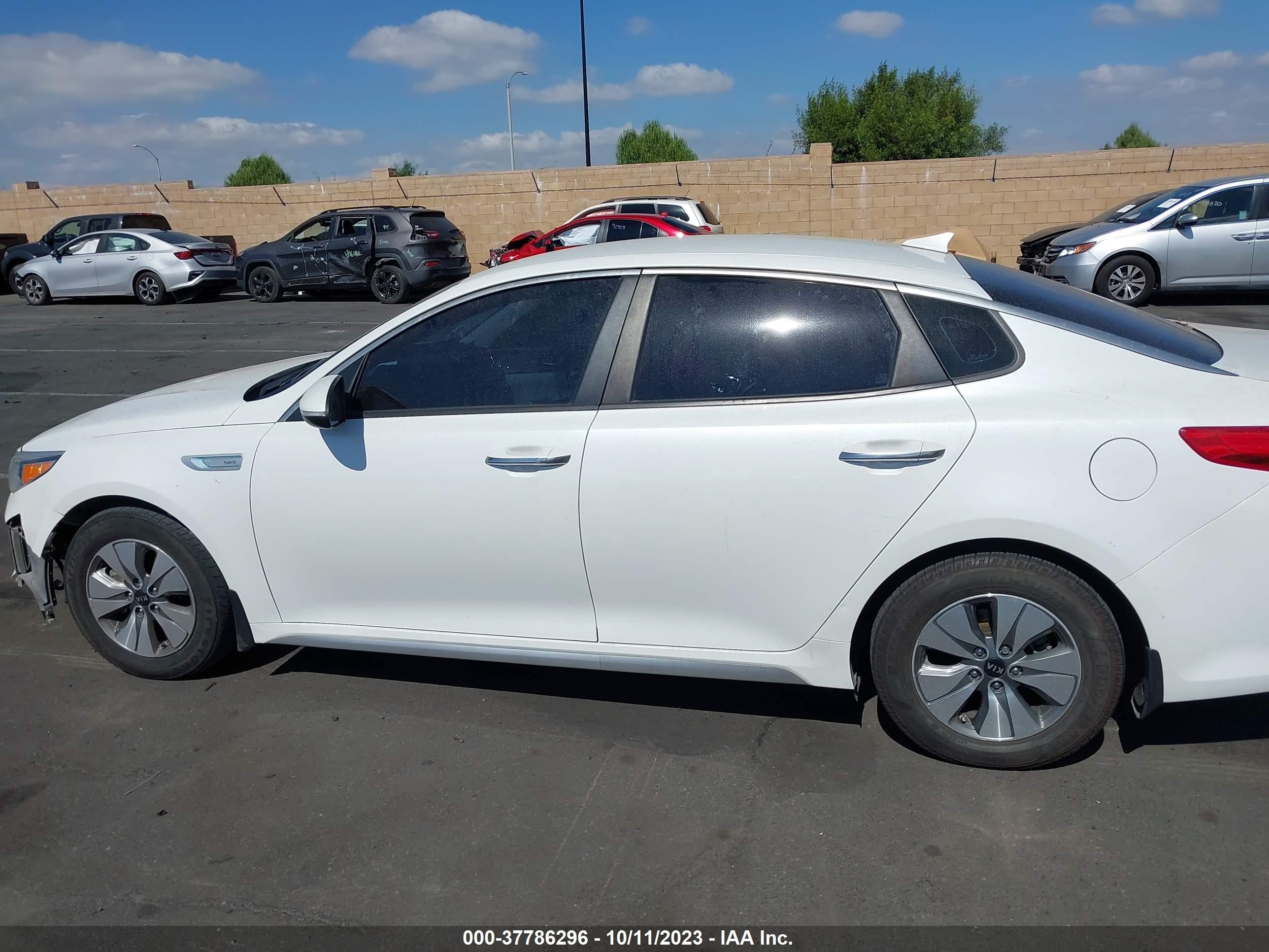 Photo 13 VIN: KNAGT4LE0H5010754 - KIA OPTIMA 