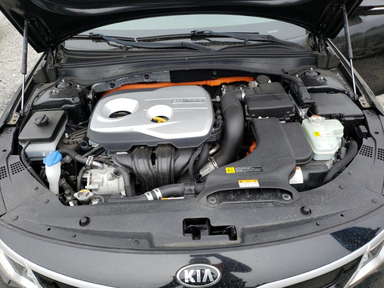 Photo 10 VIN: KNAGT4LE3J5022029 - KIA OPTIMA 