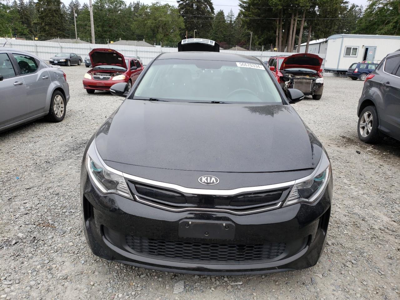 Photo 4 VIN: KNAGT4LE3J5022029 - KIA OPTIMA 