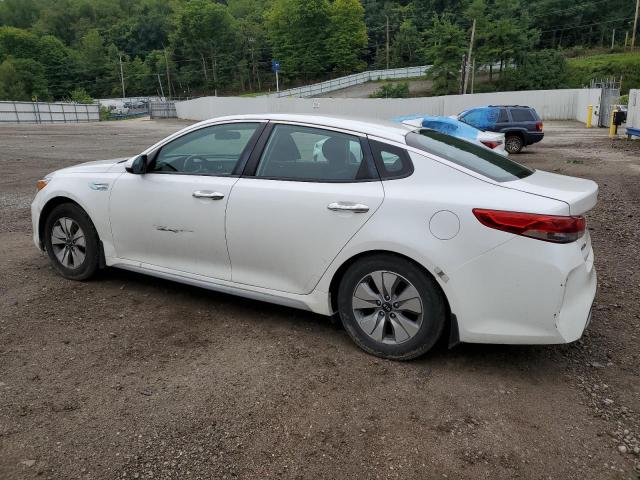 Photo 1 VIN: KNAGT4LE6H5019006 - KIA OPTIMA 