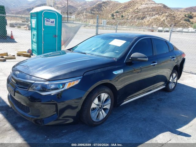 Photo 1 VIN: KNAGT4LE9H5009439 - KIA OPTIMA 