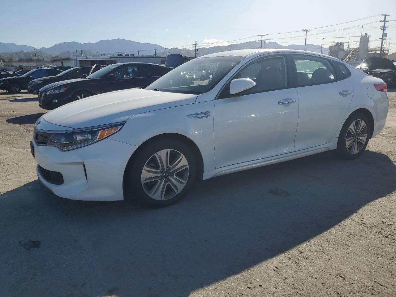 Photo 0 VIN: KNAGU4LC0H5006652 - KIA OPTIMA 