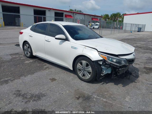 Photo 0 VIN: KNAGU4LC8H5007533 - KIA OPTIMA 