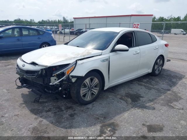 Photo 1 VIN: KNAGU4LC8H5007533 - KIA OPTIMA 